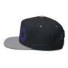 embroidered flat bill cap ahd,flat peak