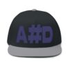 embroidered flat bill cap ahd,flat peak