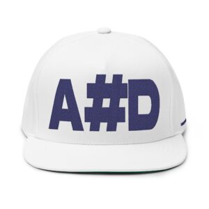 embroidered flat bill cap ahd,flat peak