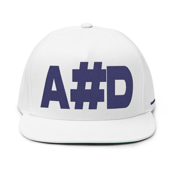 embroidered flat bill cap ahd,flat peak